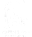 Labuan Bajo Productions