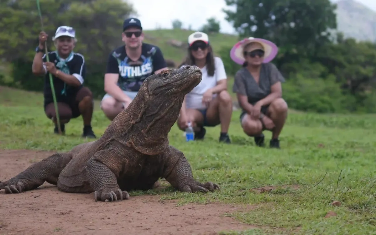 A Komodo dragon on a dirt path with a ranger and visitors kept back at a safe distance
