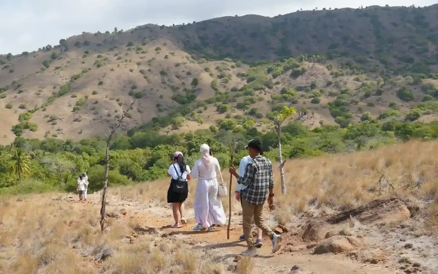 Visitors walking a dry savanna trail on Rinca Island accompanied by a ranger