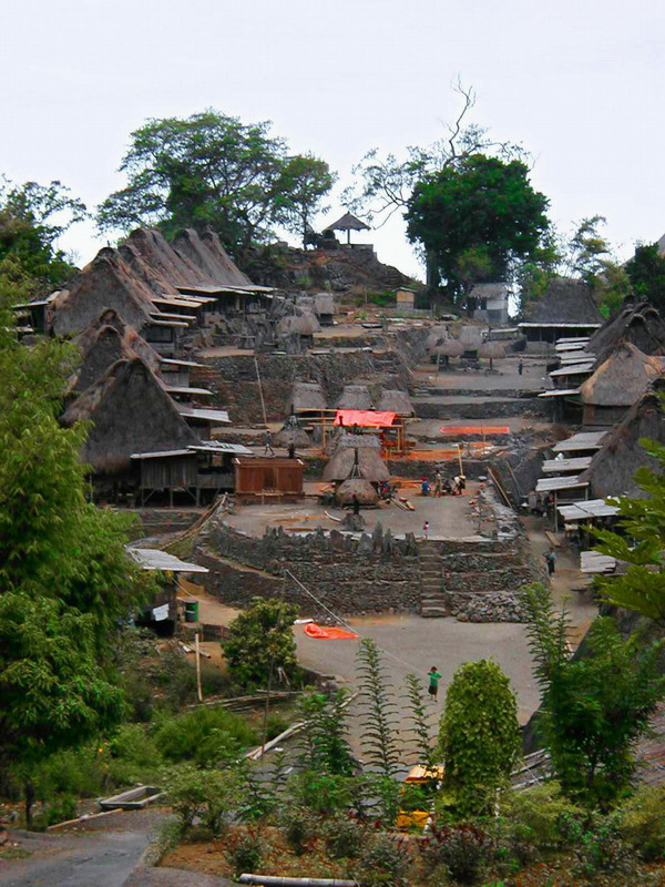 Traditional Villages of Flores