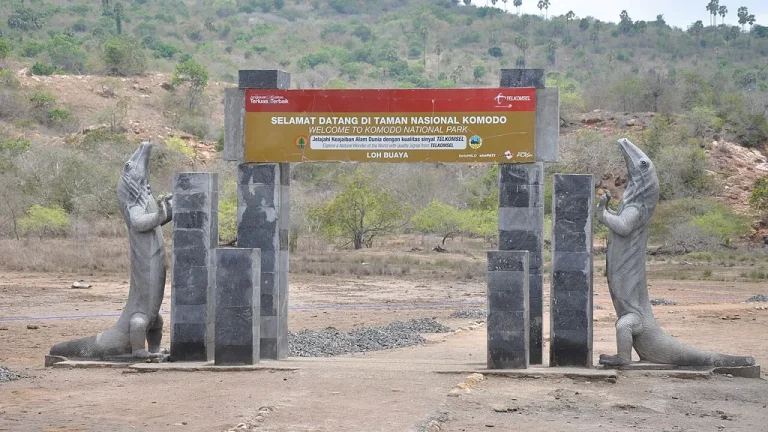 Is Komodo National Park Open? Status Explained