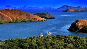 Tourist boats moored in a bay off Rinca Island, Komodo National Park