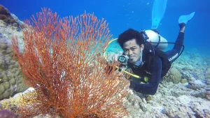 A scuba diver underwater at Kapoposang, Indonesia