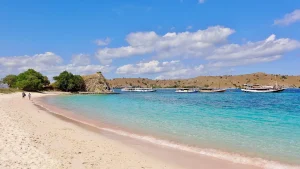 The pink-tinted sand of Pink Beach on Komodo Island