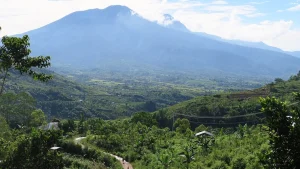 The road into Ruteng with Flores' highest peak ahead, Manggarai highlands