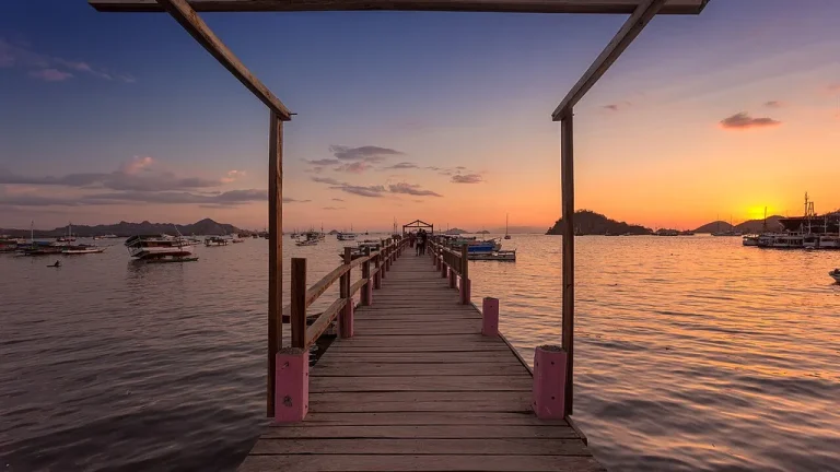 SIM Cards, eSIM and Internet in Flores