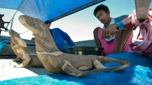Villagers from Komodo Village selling hand-carved wooden Komodo dragon statues from a boat