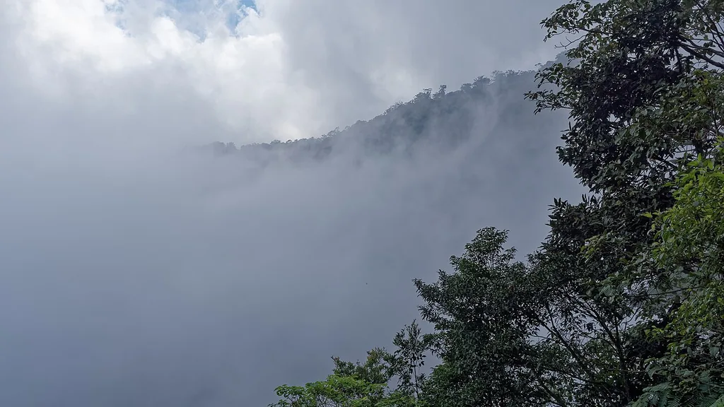 Mist over the mountains on the walking path to Wae Rebo, Flores