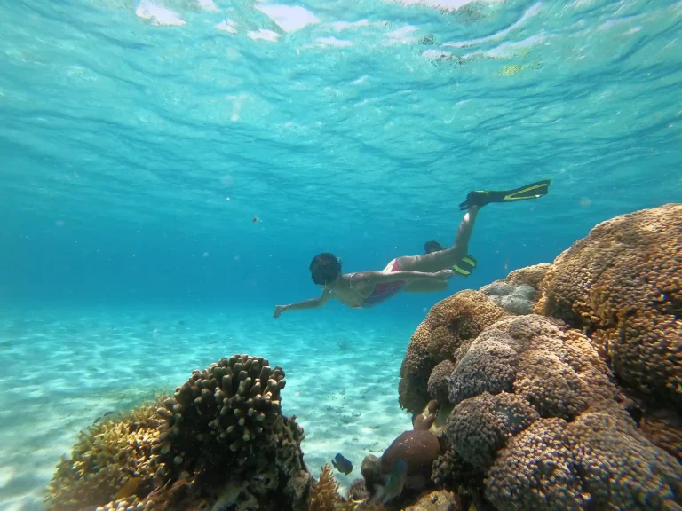 Snorkeling in Komodo: Spots and Conditions
