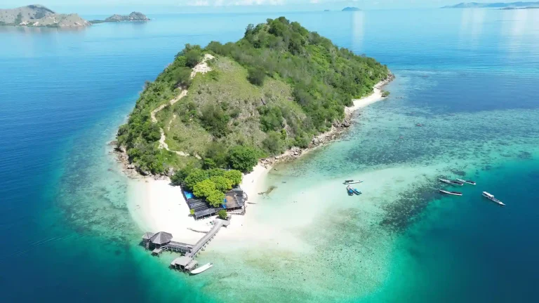 Eco Initiatives in Flores: A Progress Report